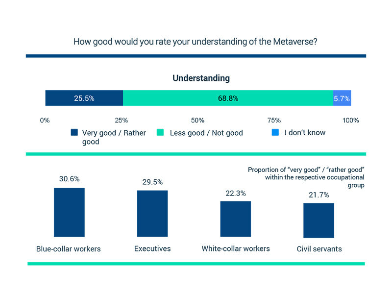 metaverse-survey