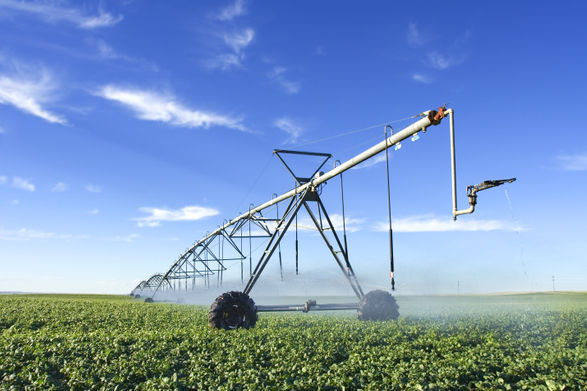 connected farming using TeamViewer IoT in agriculture software to get real-time data on crop water levels