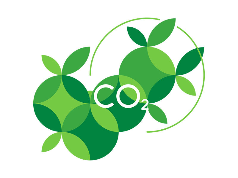 5 Steps Your Company Can Take to Reach Carbon Neutrality | TeamViewer