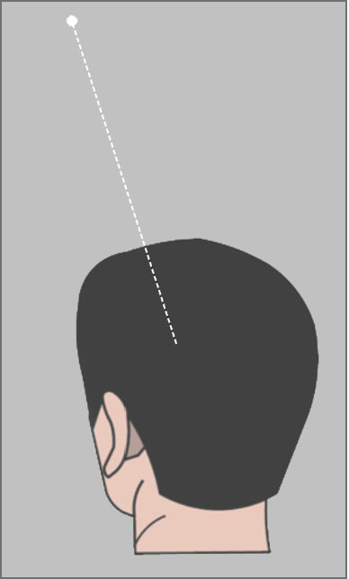 Head- gaze cursor.png