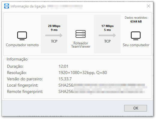 Informações sobre a conexão - fluxo de dados da sessão remota TeamViewer (Classic).png