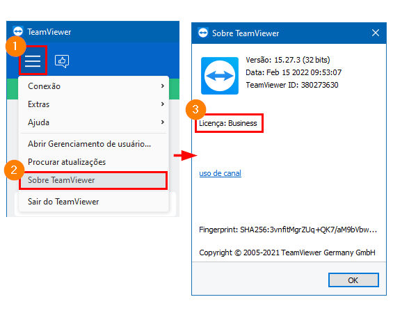 Como verificar se o TeamViewer (Classic) está licenciado - TeamViewer (Classic) Business.png