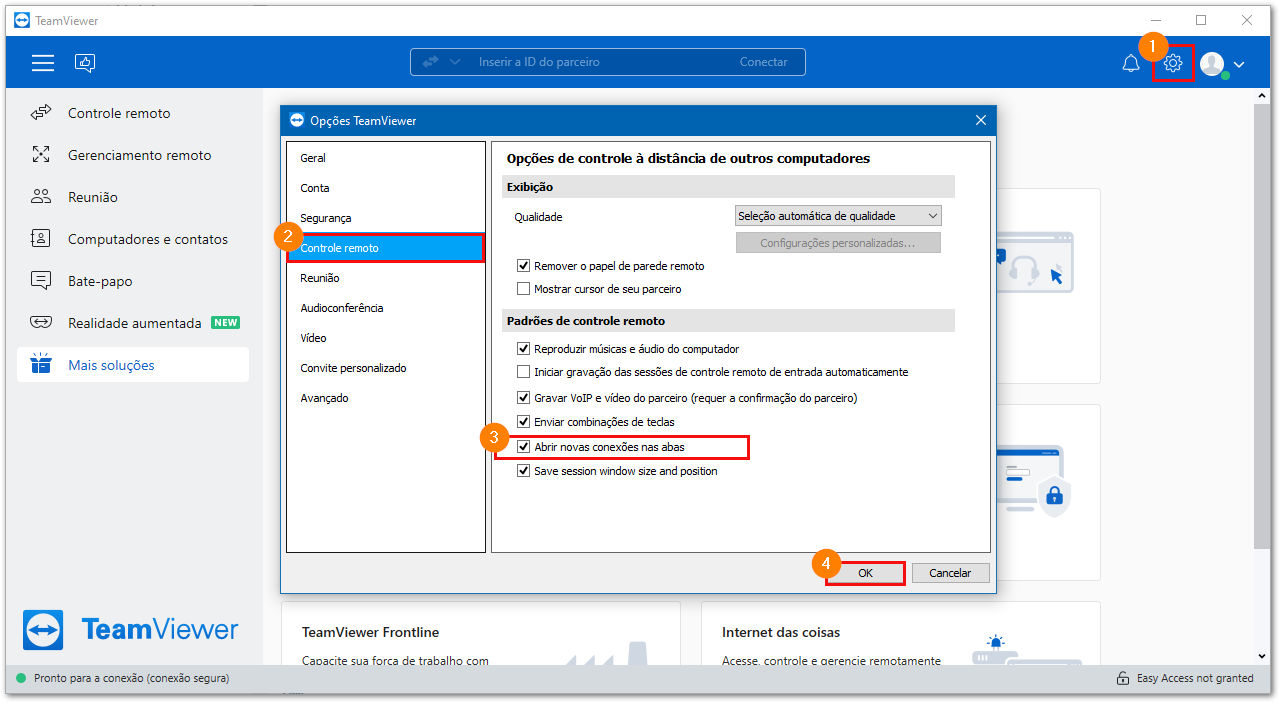 Como exibir sessões remotas do TeamViewer (Classic) em abas de uma mesma janela no Windows através da Opções.png
