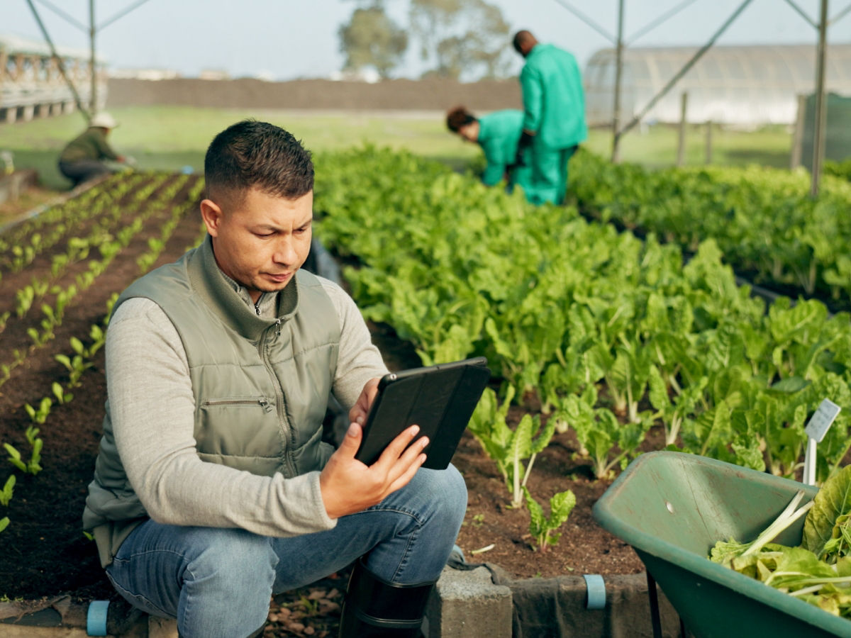 Operatore in un campo con il proprio tablet