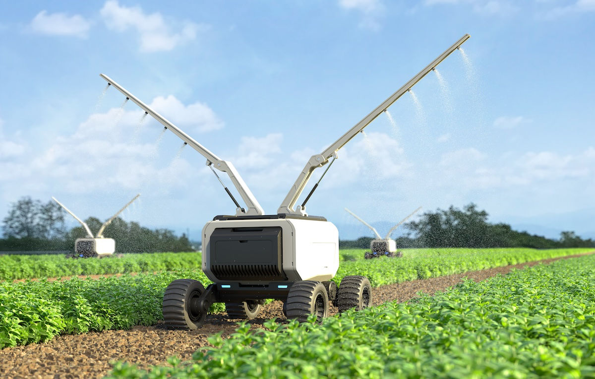 Robot agricoli lavorano in una smart farm