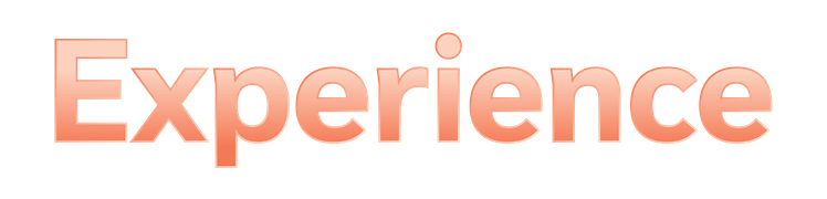 Experience