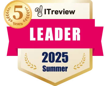 Award: IT Review, Leader