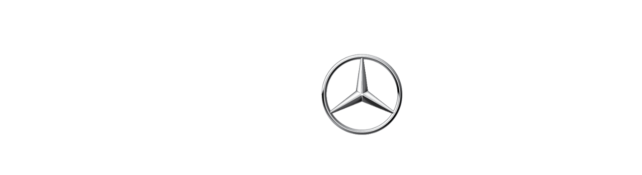 TeamViewer × the Mercedes-AMG PETRONAS F1 Team logo