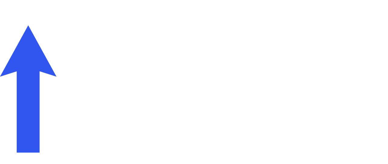 TeamViewer RISE logo