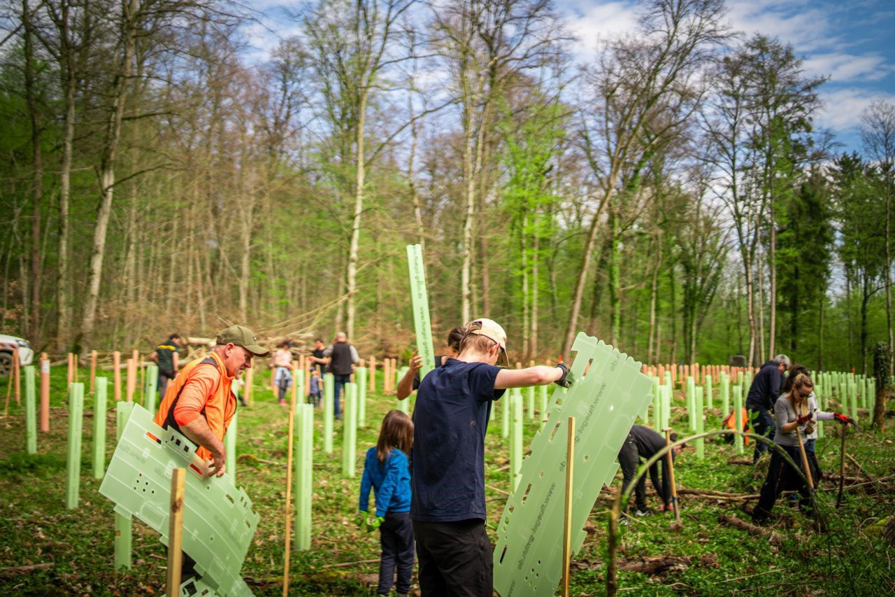Group planting trees