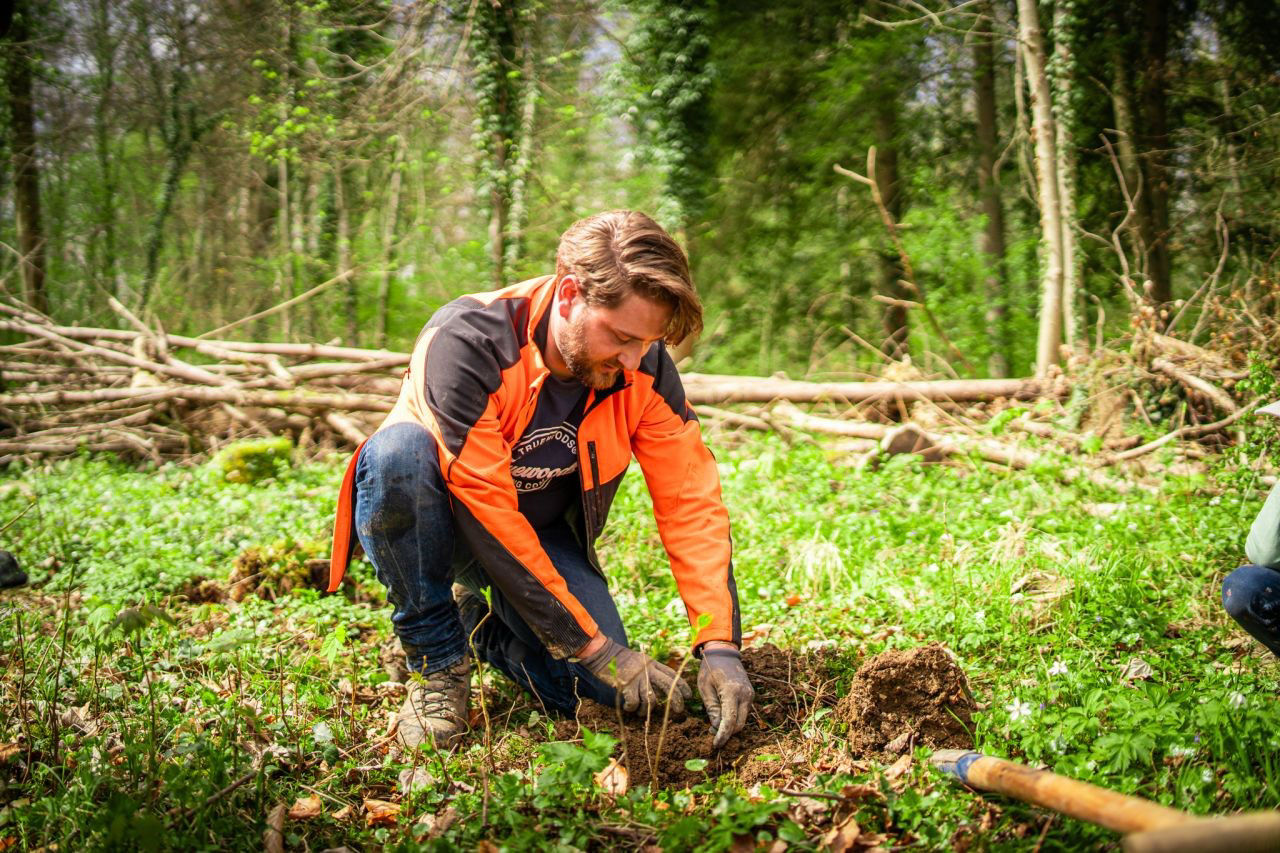 Man planting tree